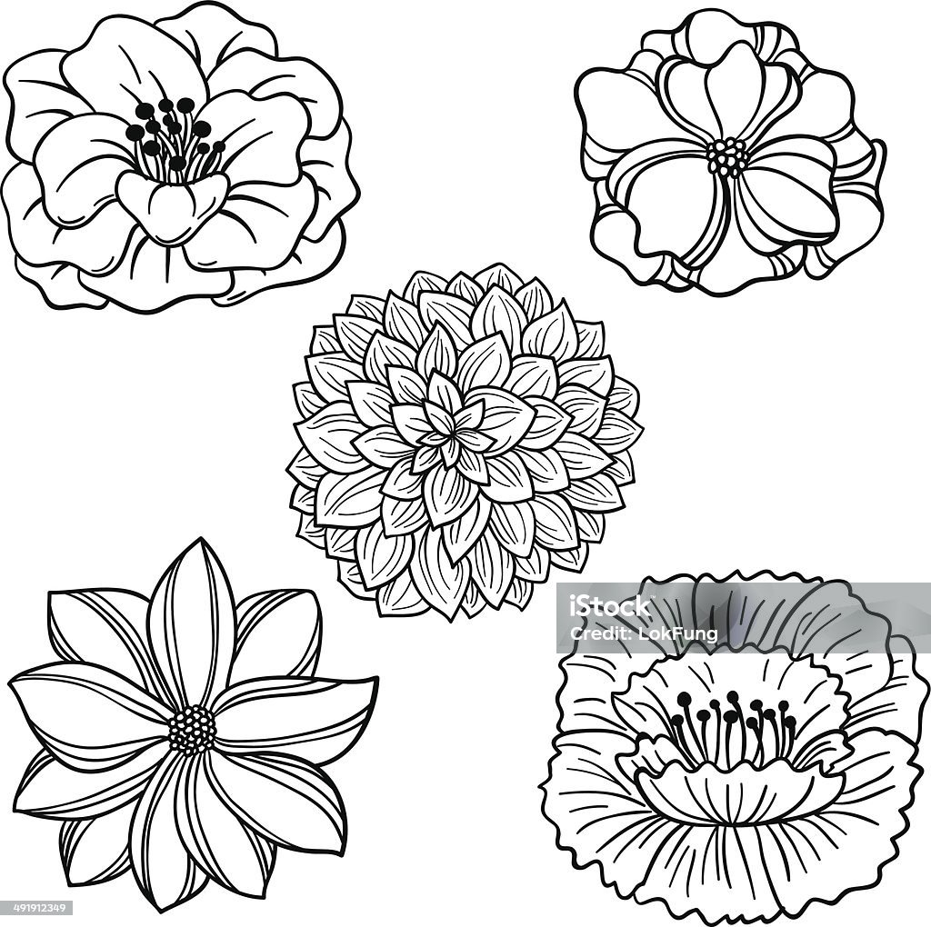 Flowers collection in black and white Flowers collection in sketch style，black and white. Outline stock vector