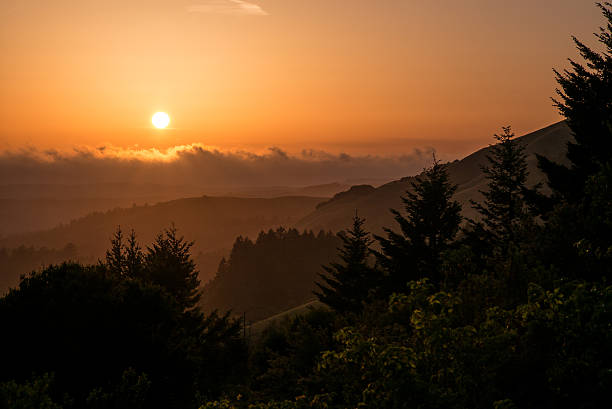 istock Sunset over fog and hills 491914967