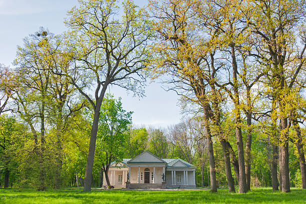 istock Oleksandriia Park in Bila Tserkva, Ukraine 491915075