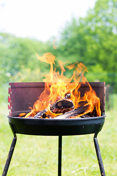 Barbecue grill - Photo