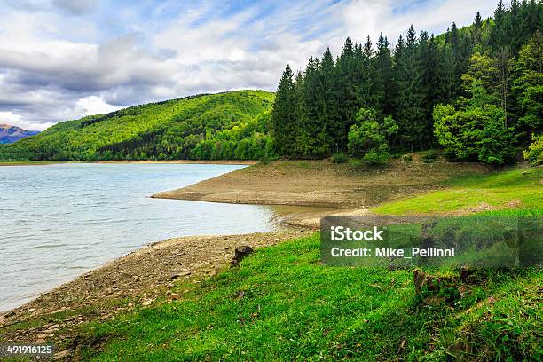 Pine Forest And Lake Near The Mountain Stock Photo - Download Image Now - Beach, Coastline, Coniferous Tree