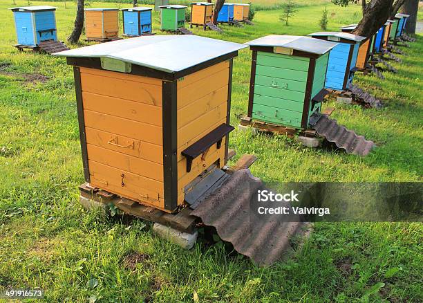 Drewniane Beehives W Ogrodzie - zdjęcia stockowe i więcej obrazów Drewno - Tworzywo - Drewno - Tworzywo, Dzielnica mieszkaniowa, Fotografika