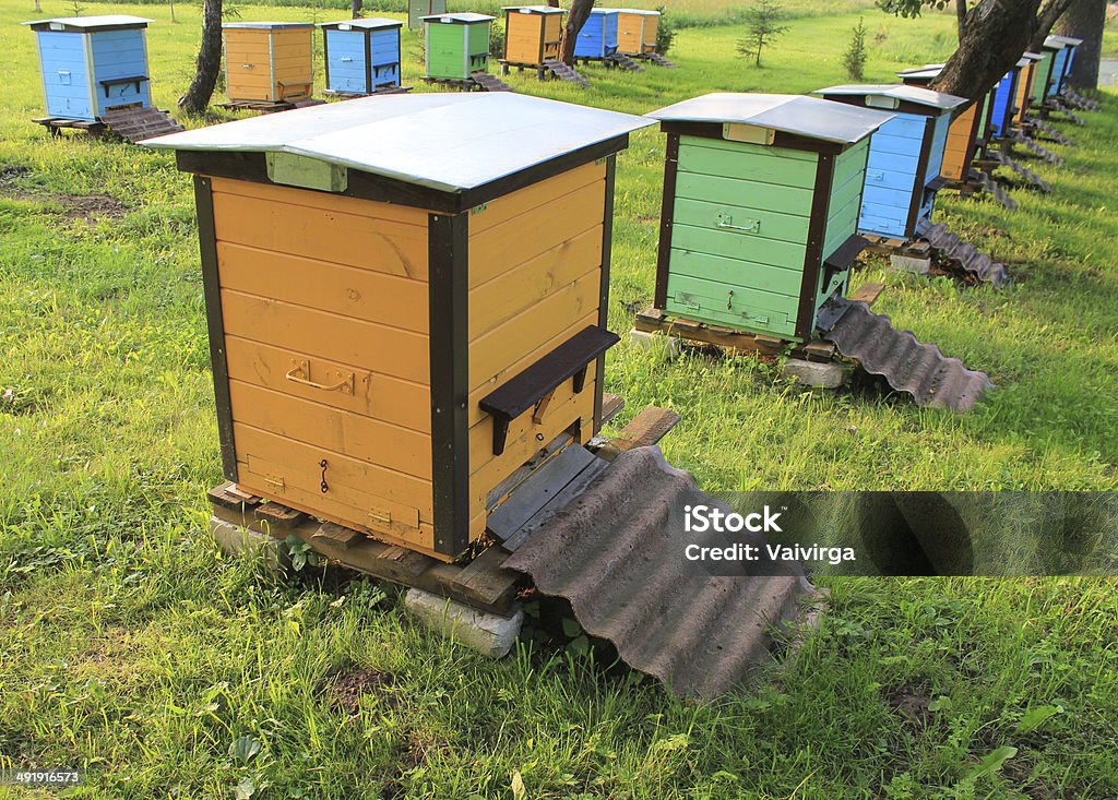 beehives de madeira no jardim - Foto de stock de Abelha royalty-free