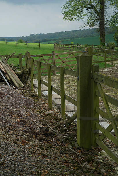 istock country side barn for horses stable 491917025