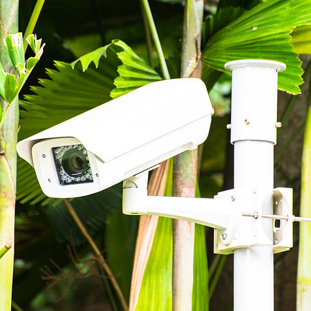 istock CCTV security camera in the garden background 491917037