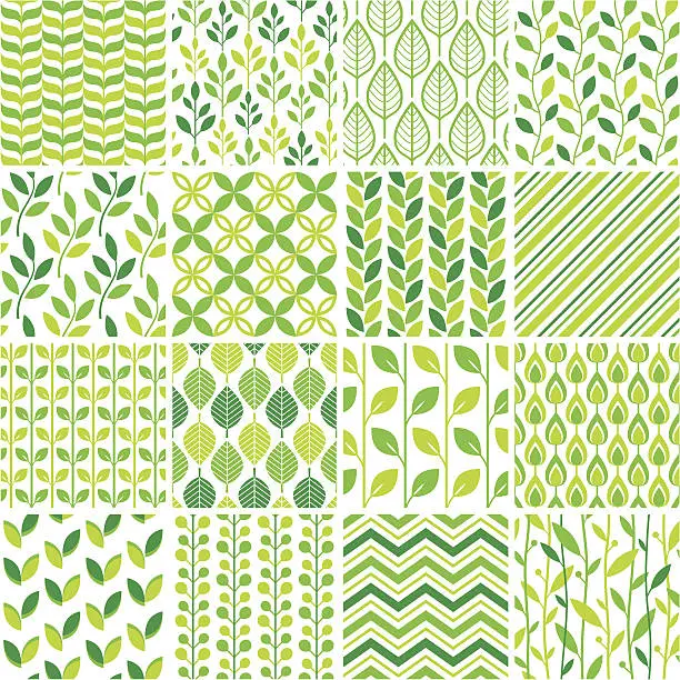 Vector illustration of Seamless green graphic pattern set