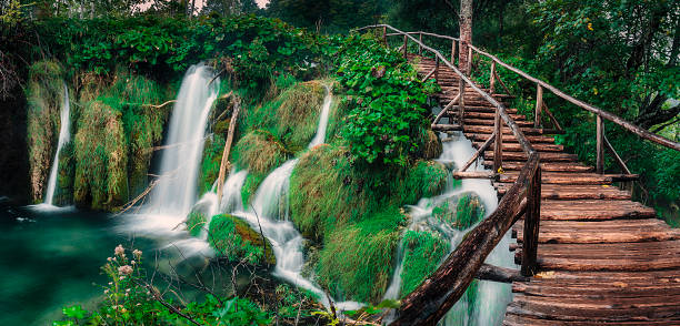 istock Stairway to heaven 491918578