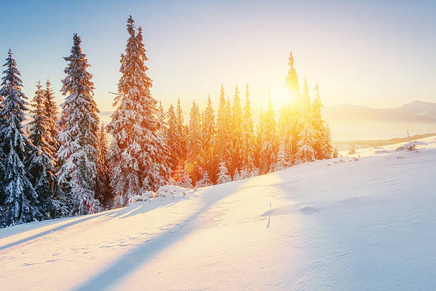 favoloso paesaggio invernale in montagne - mountain swiss culture european alps snow foto e immagini stock