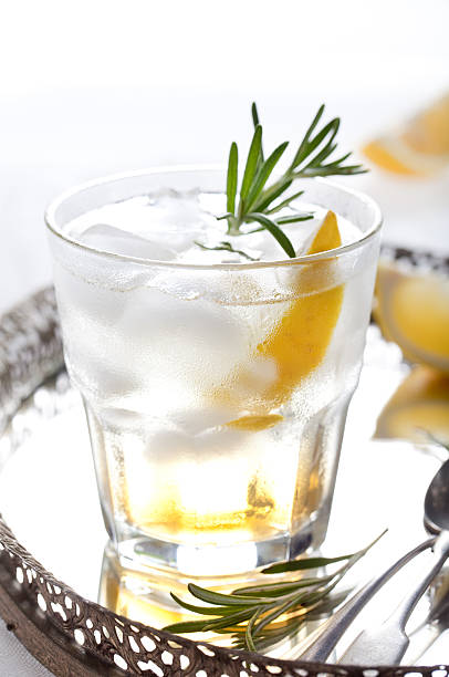istock Gin,lemon, rosemary fizz, cocktail 491918912