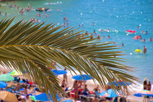 istock Sun Sea and Sand, Colourful Holiday Anonymous People 491920142