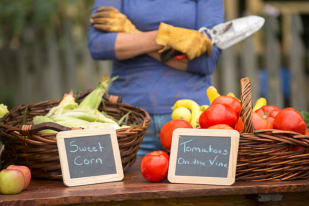 istock Fresh produce from garden 491924034