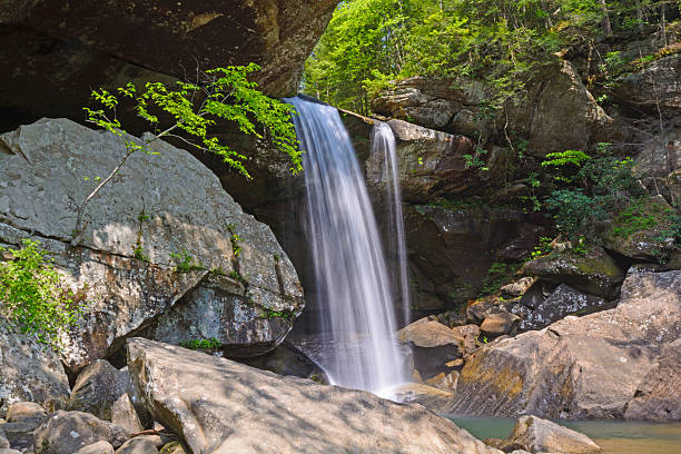 istock Secluded Falls in a Verdant Canyon 491933234