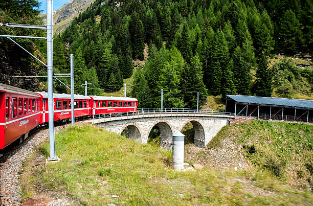 스위스 잘프 - graubunden canton switzerland station mountain 뉴스 사진 이미지