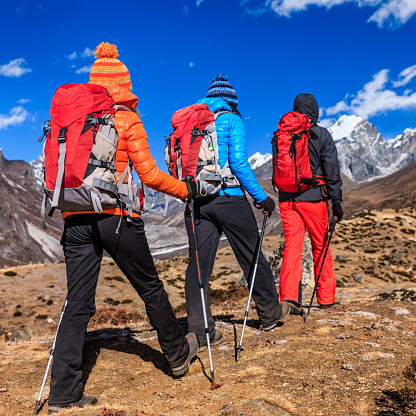 Group of trekkers trekking in Mount Everest National Park. This is the highest national park in the world, with the entire park located above 3,000 m ( 9,700 ft). This park includes three peaks higher than 8,000 m, including Mt Everest. Therefore, most of the park area is very rugged and steep, with its terrain cut by deep rivers and glaciers. Unlike other parks in the plain areas, this park can be divided into four climate zones because of the rising altitude. The climatic zones include a forested lower zone, a zone of alpine scrub, the upper alpine zone which includes upper limit of vegetation growth, and the Arctic zone where no plants can grow. The types of plants and animals that are found in the park depend on the altitude.http://bem.2be.pl/IS/nepal_380.jpg