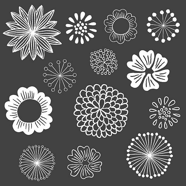 Chalkboard Floral Elements Set vector art illustration