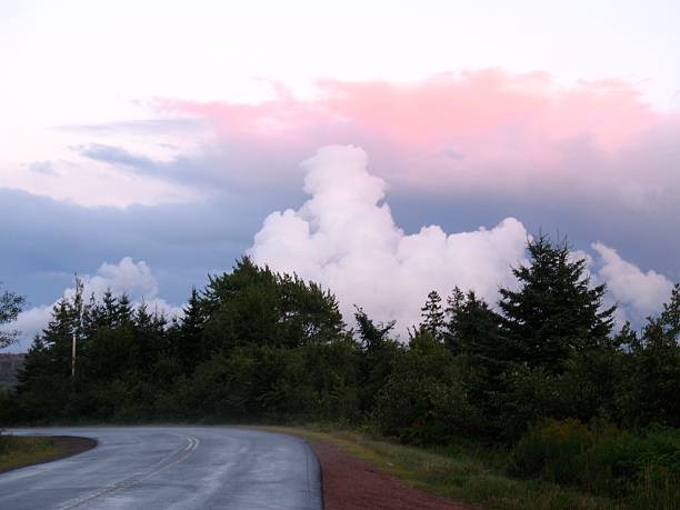 istock Country Road, Spruce Trees, Dramatic Sky at Dusk 491935688