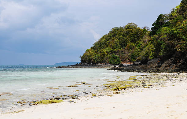 istock Tropic island landscape 491936829