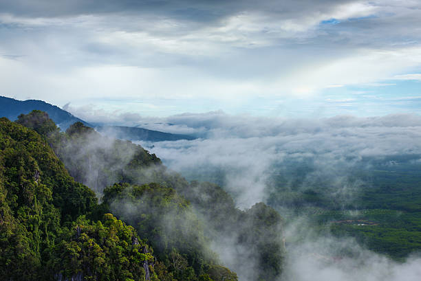istock Fog over mountain in morning 491937676