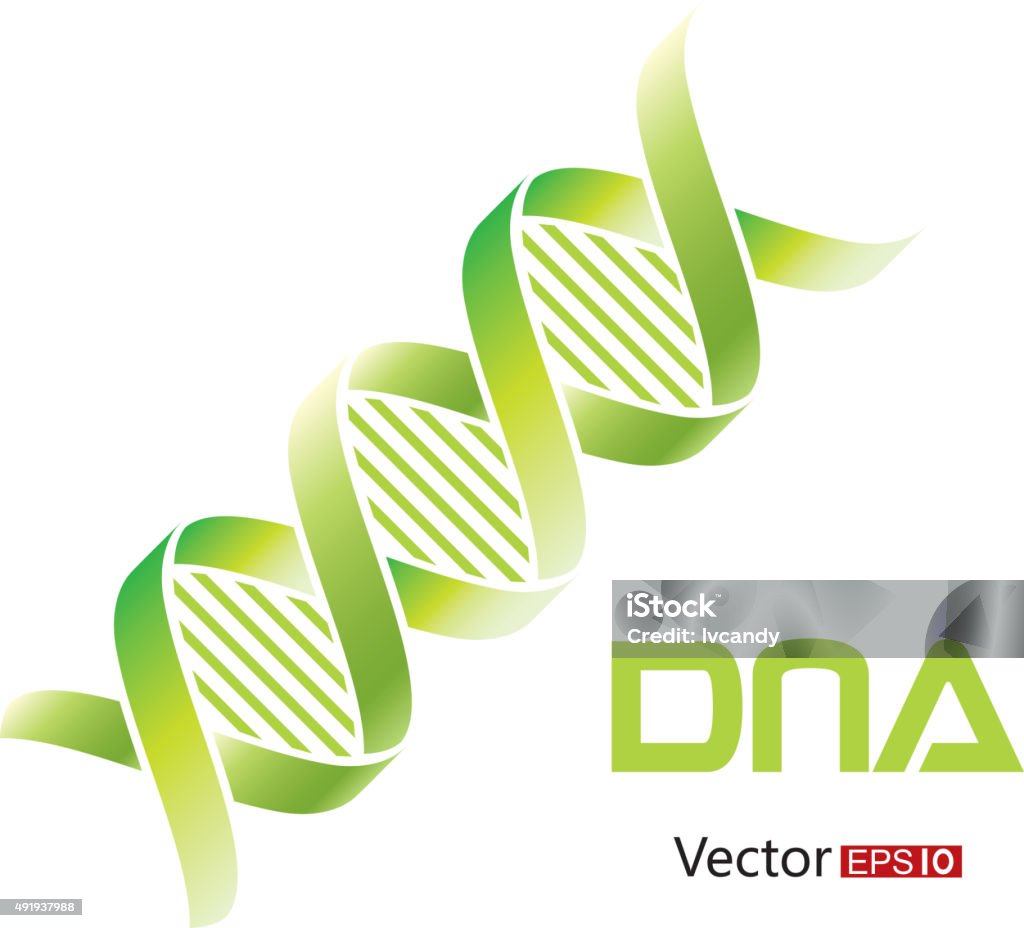 DNA symbol File format is EPS10.0.  DNA stock vector