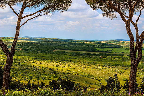 istock Spring . Murgia National Park: panoramic view. - (Apulia) ITALY- 491938301