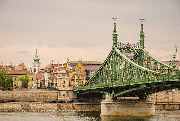 istock Liberty Bridge in Budapest, Hungary 491939029
