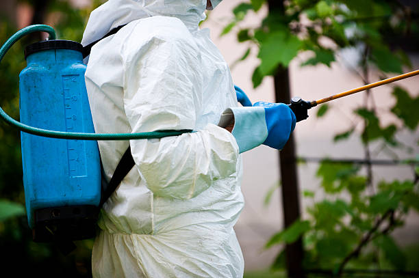 istock Man in full protective clothing spraying chemicals 491939191