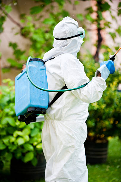 istock Man in full protective clothing spraying chemicals 491939193