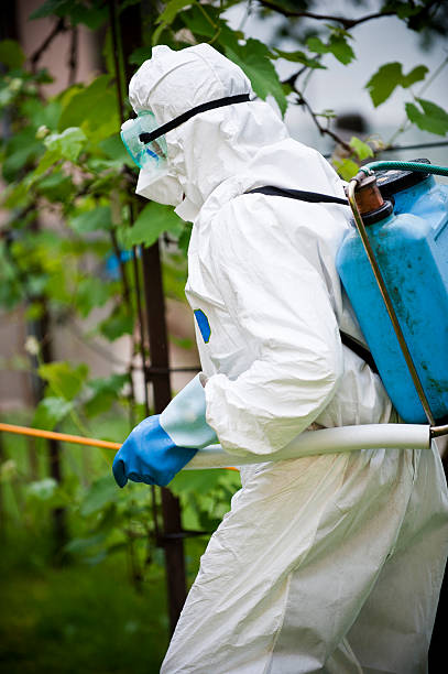 istock Man in full protective clothing spraying chemicals 491939195