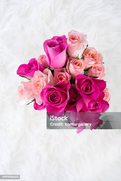 バラの花束 - やわらかのストックフォトや画像を多数ご用意 - やわらか, スタジオ撮影, ピンク色