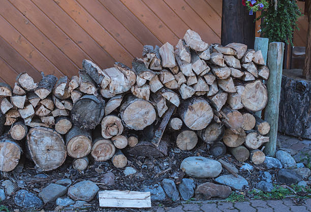 istock Cut stacked wood at cabin 491939624