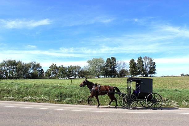 istock Amish Horse and Buggy Travelling Down a Country Road 491940006