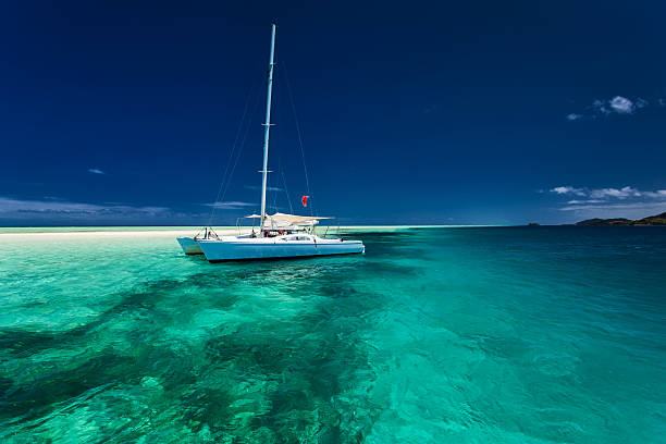 istock White catamaran in shallow tropical water with snorkeling reef 491940114