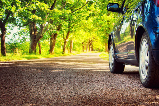 istock Car on asphalt road in summer 491940628