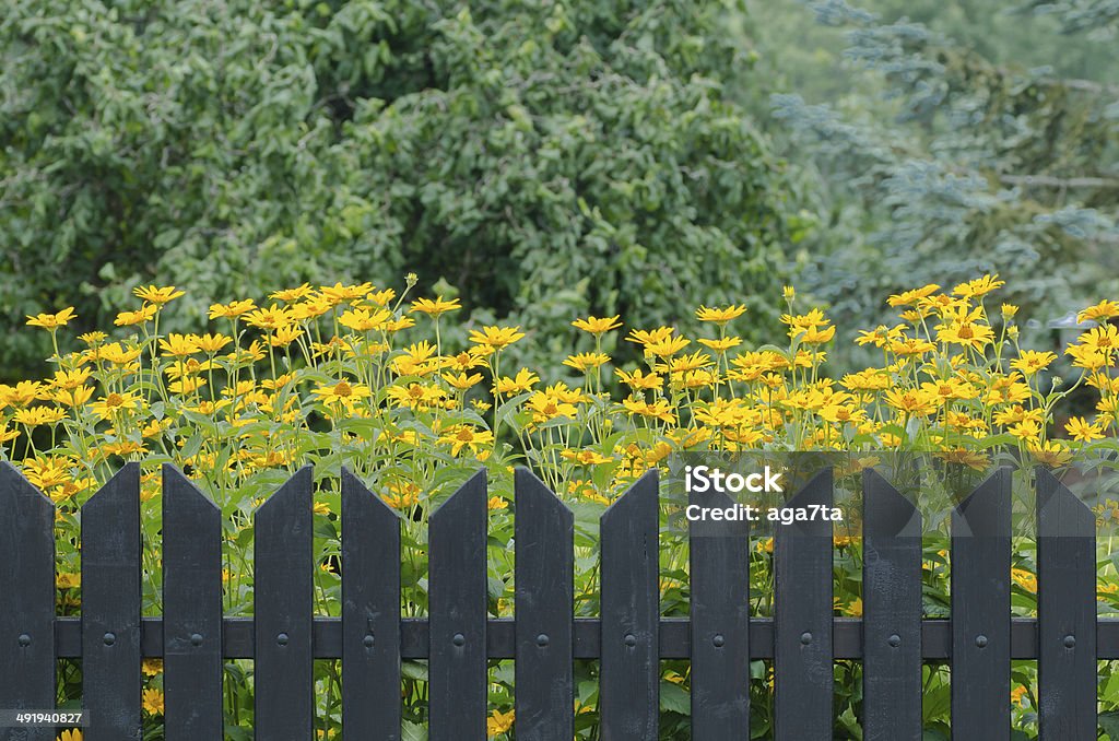 Cerca de madeira e flores - Royalty-free Amarelo Foto de stock