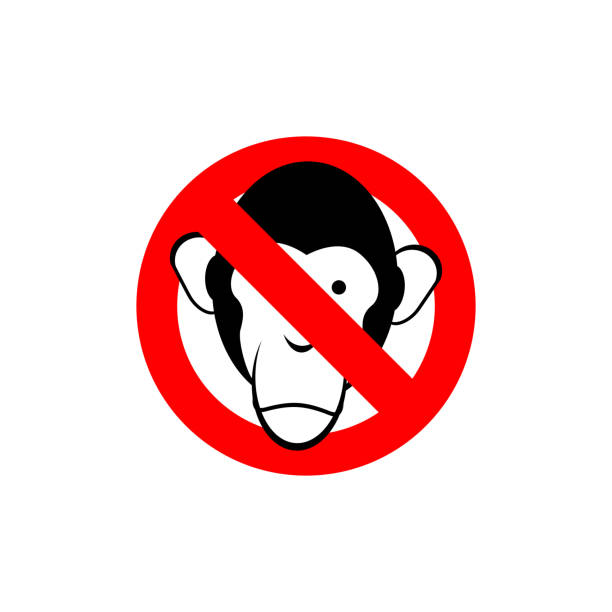 illustrazioni stock, clip art, cartoni animati e icone di tendenza di fermata scimmia. macaco proibita. frozen testa primato. rosso forbidd - primacy