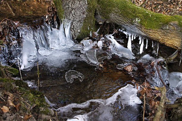 icicles em uma floresta stream - eisfläche imagens e fotografias de stock