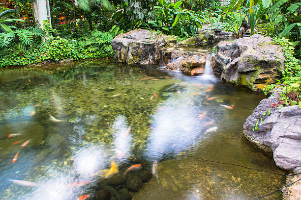 istock Water fountain in garden or park 491943993