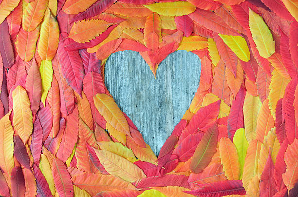 istock Colorful autumn leaves in a heart shape 491947076
