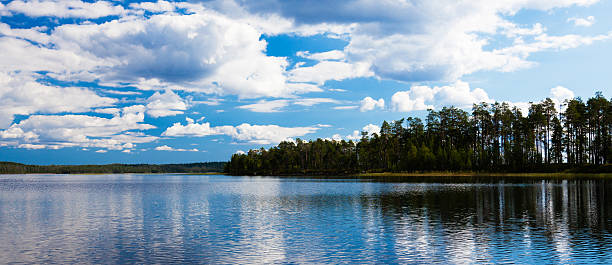 istock Landscape - forest, water, sky and clouds 491947490