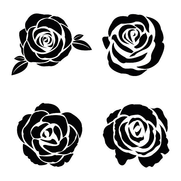 zestaw czarna sylwetka rose - silhouette beautiful flower head close up stock illustrations