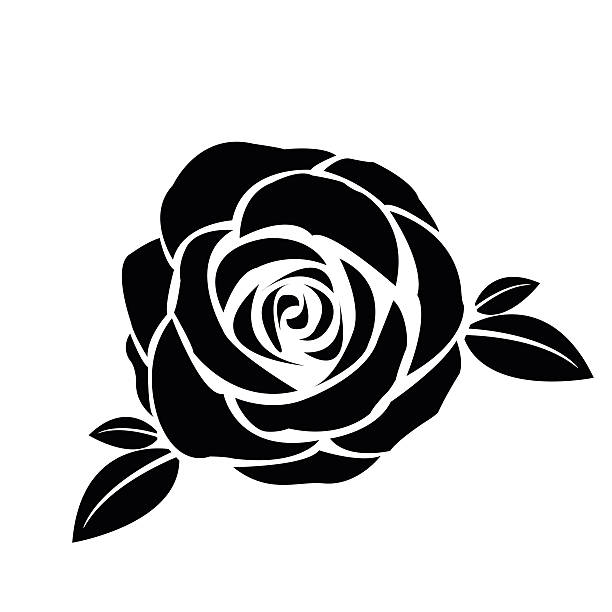 czarna sylwetka rose z liści - silhouette beautiful flower head close up stock illustrations