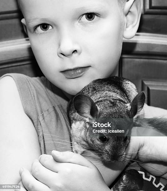 Boy With A Chinchilla On His Hands Stock Photo - Download Image Now - 2015, 6-7 Years, Animal