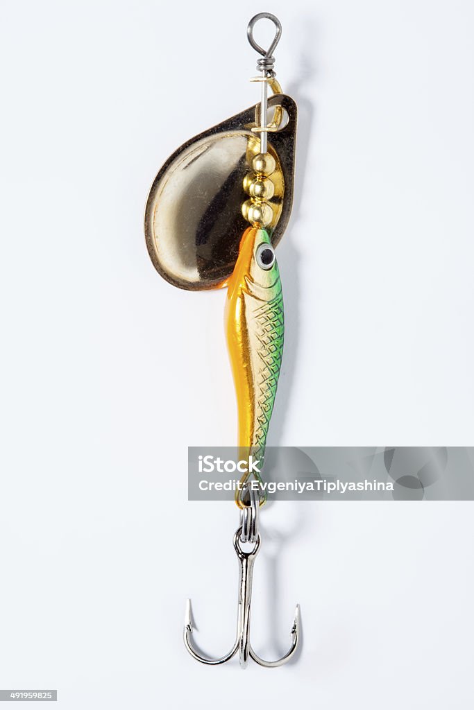 Amo da pesca con esca - Foto stock royalty-free di Amo da pesca