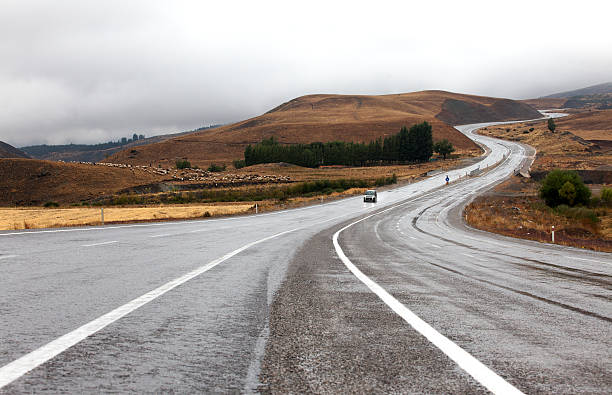 istock Asphalt Road on the Nature 491959884