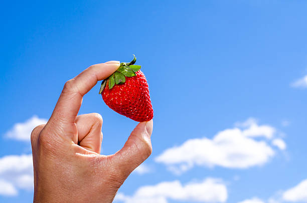 Ripe strawberry being held in a woman's hand up against the bright blue sky