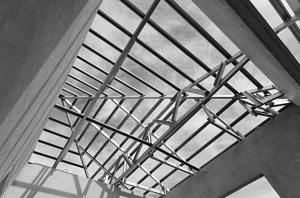 istock Steel Roof Black and White 491960018