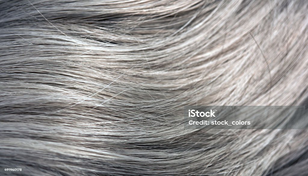 straight gray hair horizontal shot of gray straight hair, shiny and heathy.nobody. Gray Hair Stock Photo
