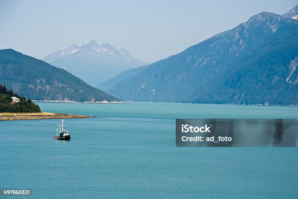 Alaska Enjoy The View Of Haines Stock Photo - Download Image Now - Alaska - US State, Arctic Willow, Bay of Water