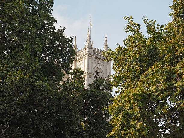 istock Westminster Abbey in London 491965040