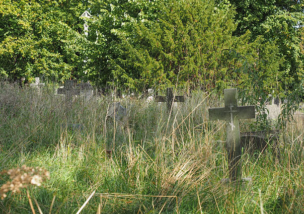 istock Tombs and crosses at goth cemetery 491965300
